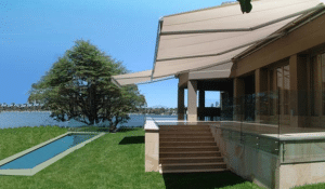 סוככי זרועות